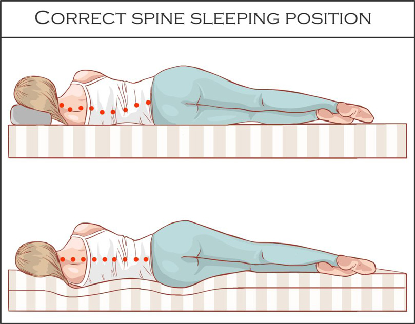 An illustration of Proper spine sleeping position