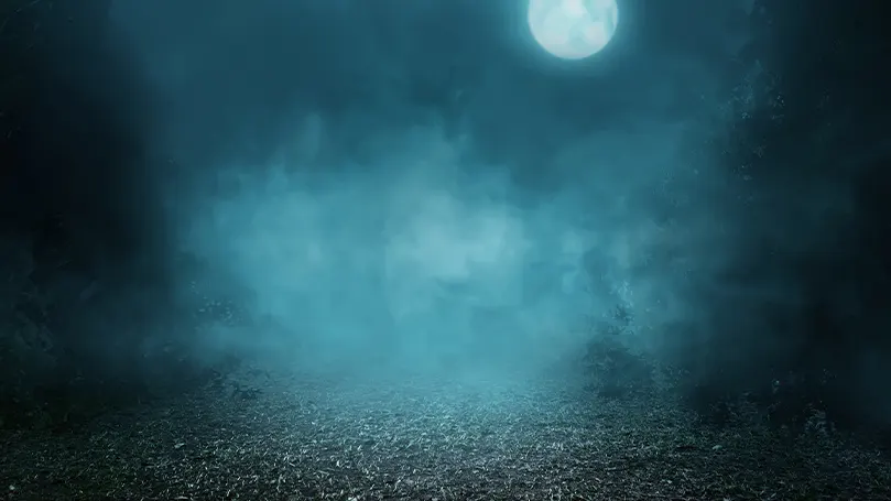 An image of the ground at night in a very creepy setting