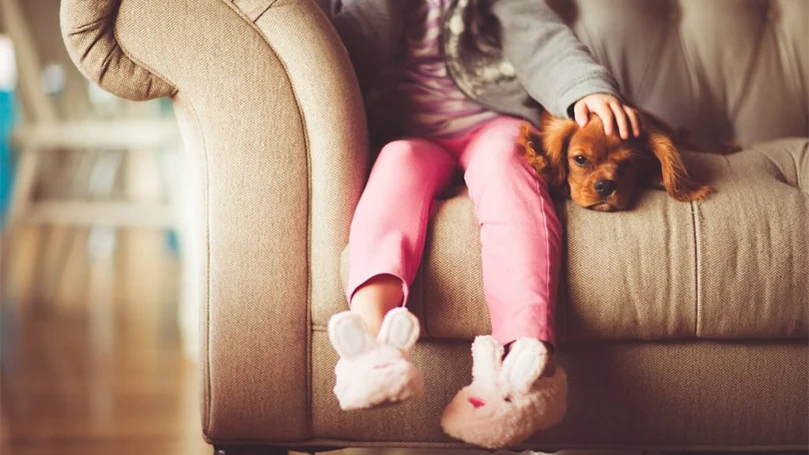 an image of a girl on a couch with a dog