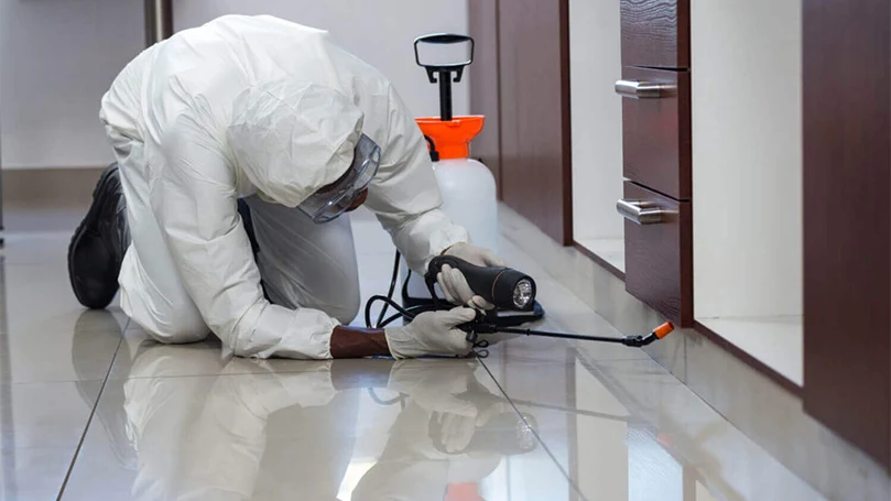 an image of a bed bug exterminator