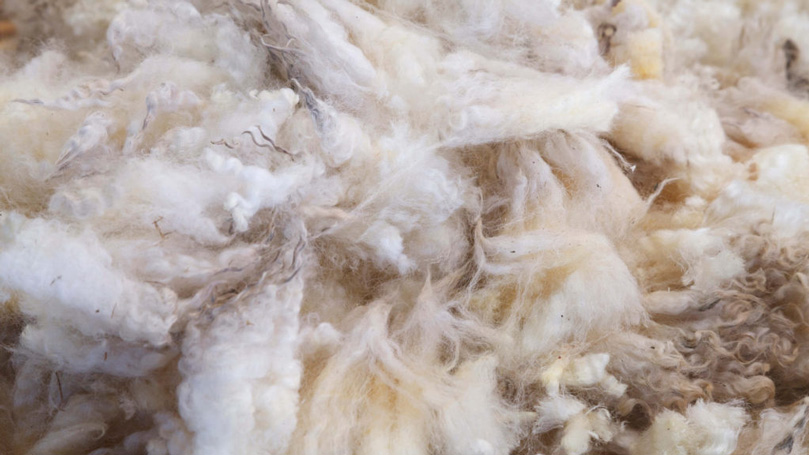 An image of wool pillow filling