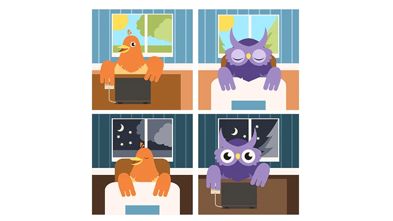 early birds and night owls cartoon image