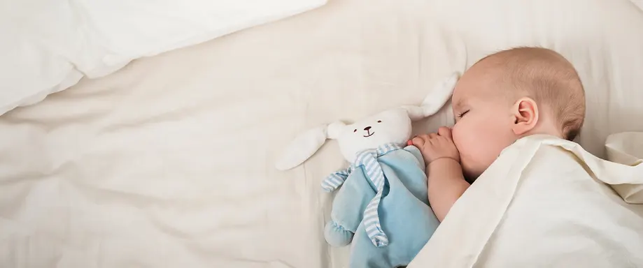 Baby sleeping with toy