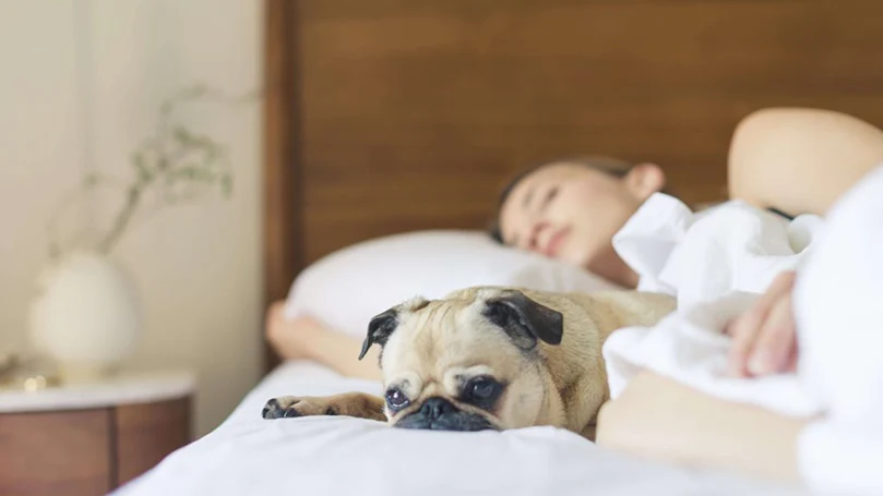 an image of a woman sleeping in a bed with her dog