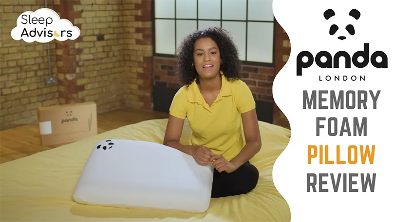 Featured image for Panda pillow review