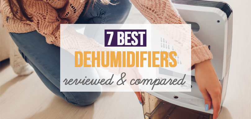 Featured image for Best Dehumidifier UK