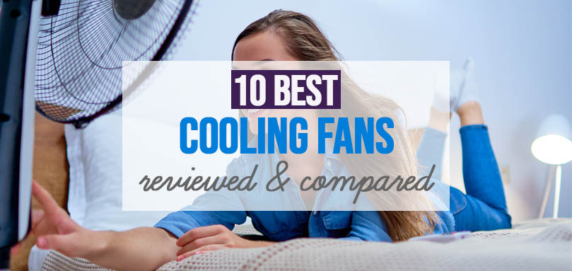 Featured image for Best Cooling Fans in UK