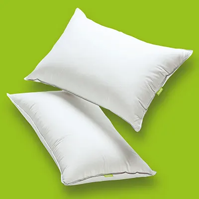 Product image of Scooms Hungarian Goose Down Pillow