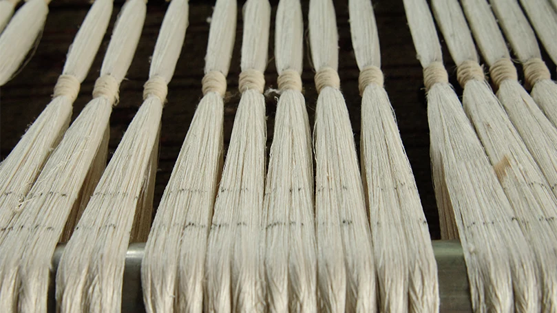an image of cotton weaving