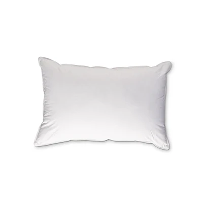 a product image of eve snuggle pillow