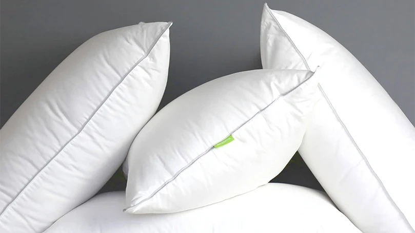 an image of scooms hungarian goose down pillow review