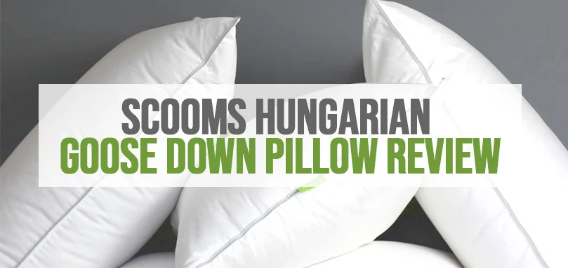 a featured image of scooms hungarian goose down pillow review