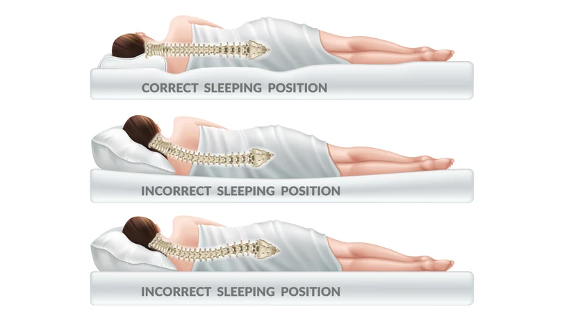 an illustration of correct spine alignment