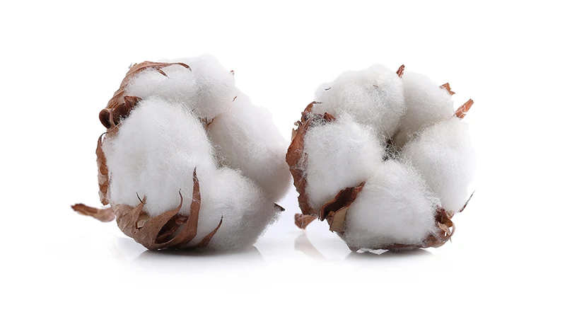 an image of cotton material for pillows