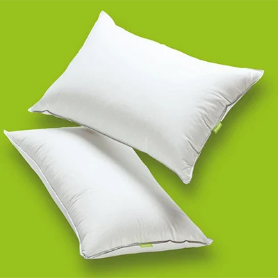 a product image of scooms hungarian goose down pillow