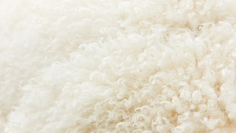 An image of wool material for pillows.