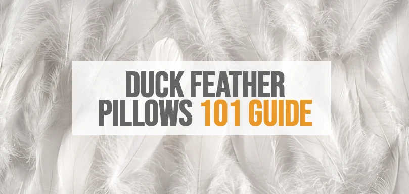 a featured image of duck feather pillows guide 101