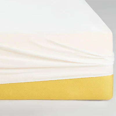 a product image of eve mattress protector