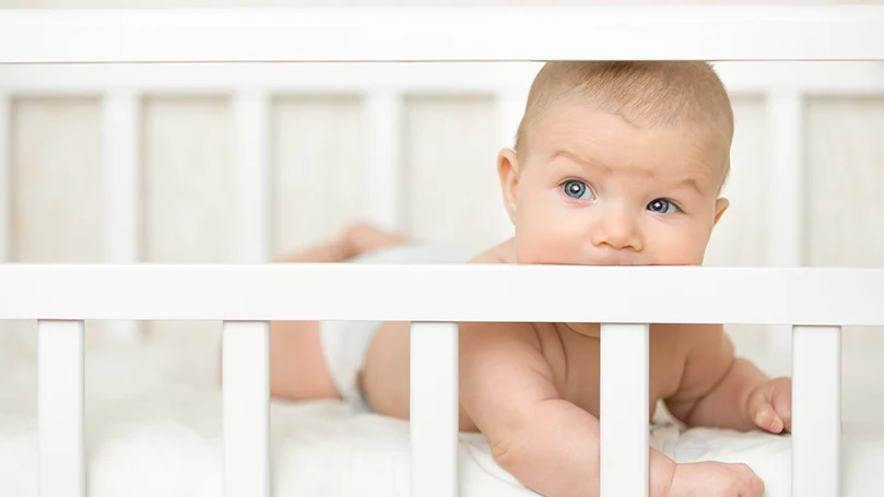 An image of a baby in a cotbed