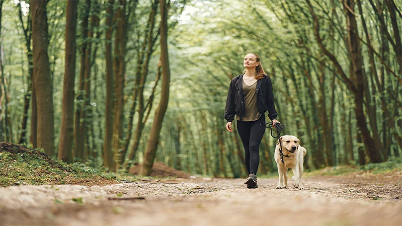 an image of a woman waking with her dog in the woods
