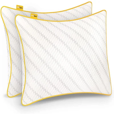 A product image of Cosy Home 2pack Bamboo Pillows.