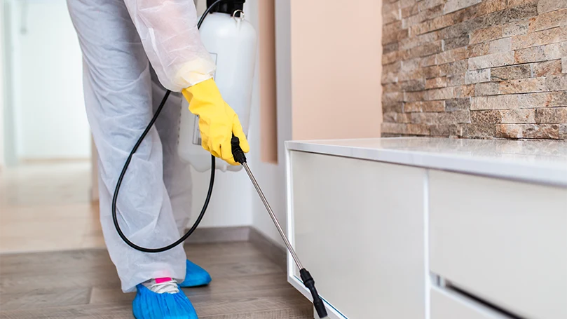 an image of a professional exterminator disinfecting the interior of a house