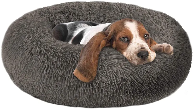 An image of a small dog in a donut dog bed