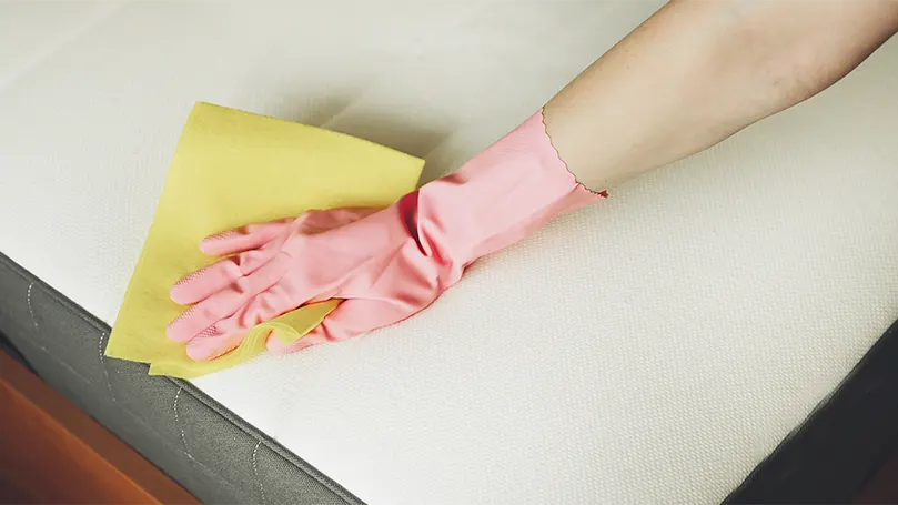An image of a woman spot cleaning a mattress.