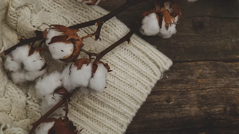 An image of cotton flowers on wooden table.