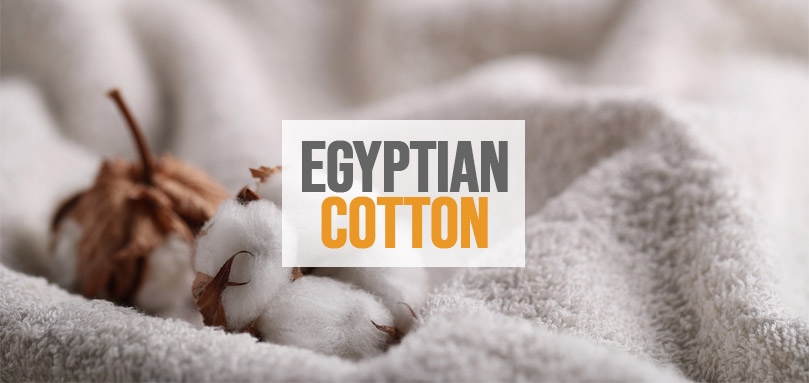 Featured image of Egyptian cotton 101.