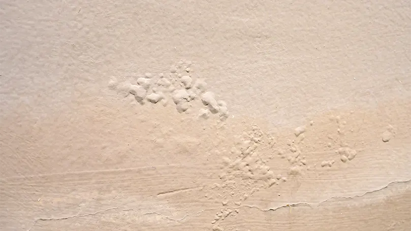 An image of water marks on wall.