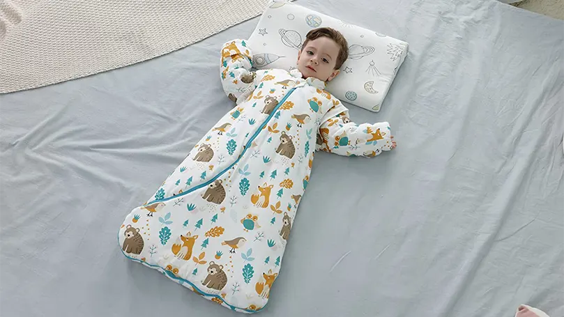 An image of a baby in a sleeping bag.