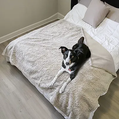 Product image of Pawsee Waterproof Dog Blanket.