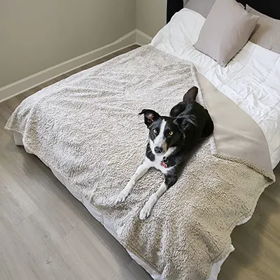 Best Blanket For Dogs To Ensure Them A Cozy Sleep