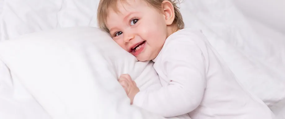 Featured image of best toddler pillows