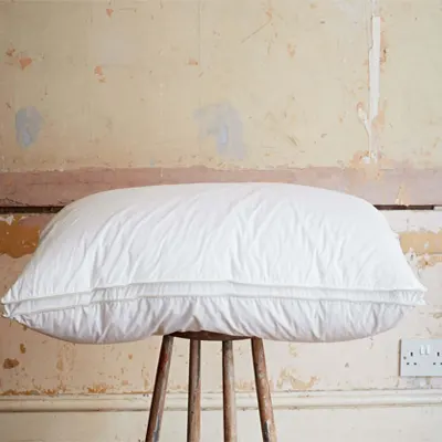 a product image of Soak & Sleep Hungarian Goose Down Pillows.