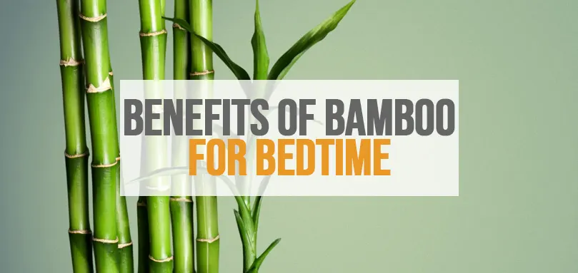 featured image for Benefits of Bamboo