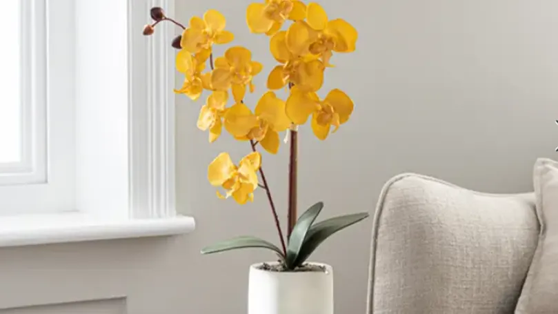 Artificial-Orchid-Ochre-in-Grey-Pot