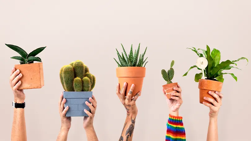 An image of people holding pots with plants in the air