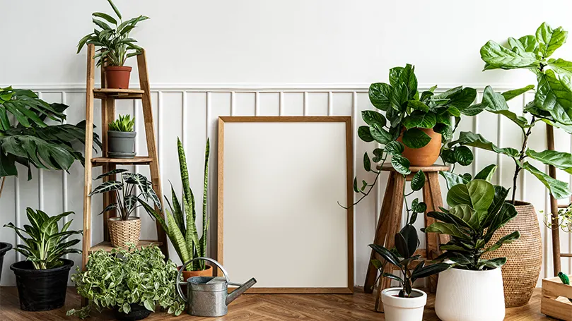 An image of a lot of plants scattered around the room