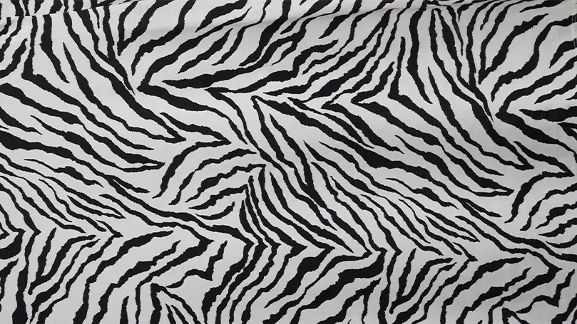 An image of the zebra print.