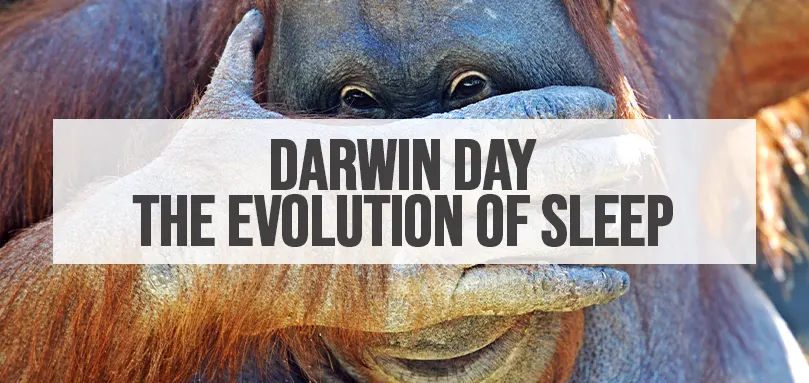 Featured image for Darwin Day - The Evolution of Sleep