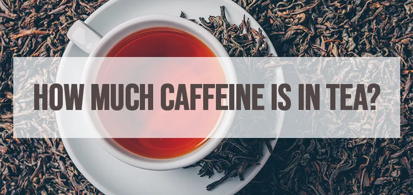 Featured image for How much caffeine is in tea