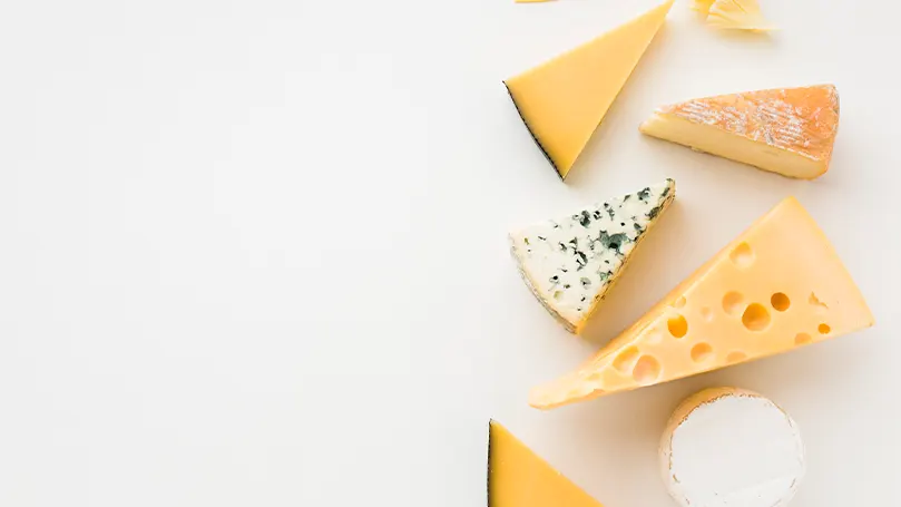 An image of many different types of cheese.