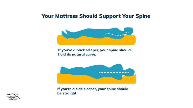 An illustration of spine support