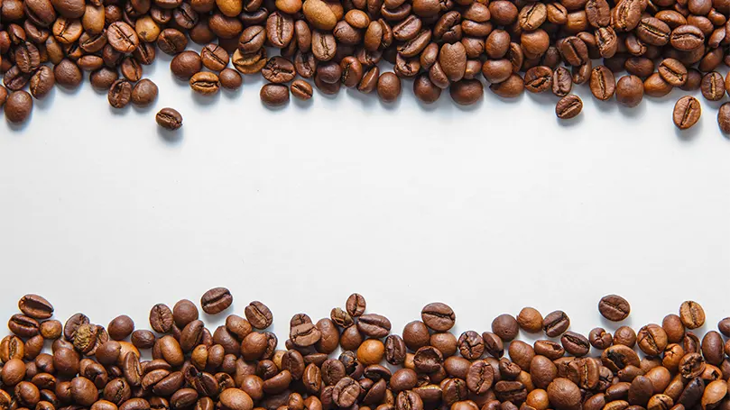 An image of two rows of coffee beans