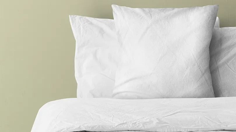 An image of two white eucalyptus pillows