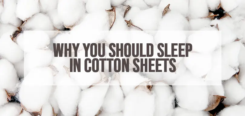 Featured image for why you should sleep in cotton sheets.