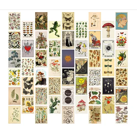 50Pcs Vintage Botanical Wall Collage Kit