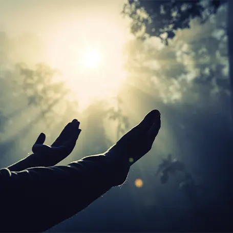 An image of a person holding their hands up to the sky